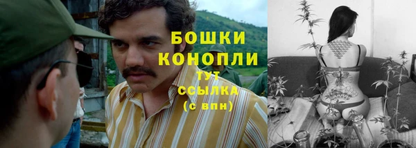 метадон Лагань