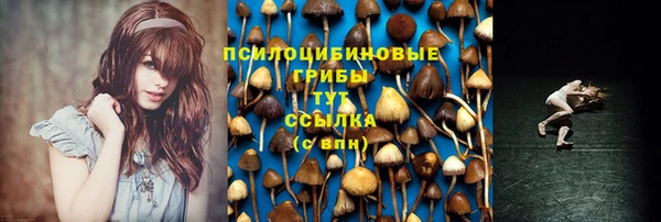 герыч Ладушкин